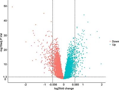 Prediction of HF-Related Mortality Risk Using Genetic Risk Score Alone and in Combination With Traditional Risk Factors